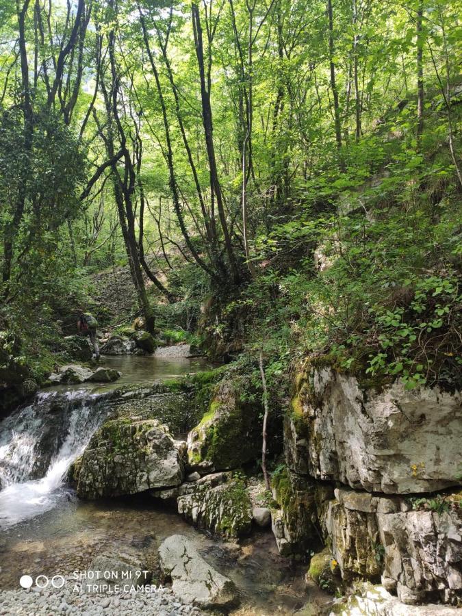 Agriturismo Revena Brentino Belluno Екстер'єр фото