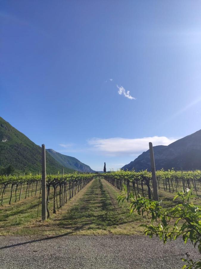 Agriturismo Revena Brentino Belluno Екстер'єр фото