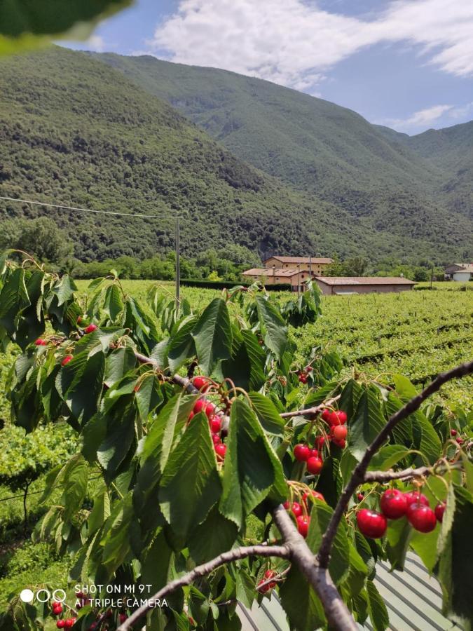 Agriturismo Revena Brentino Belluno Екстер'єр фото
