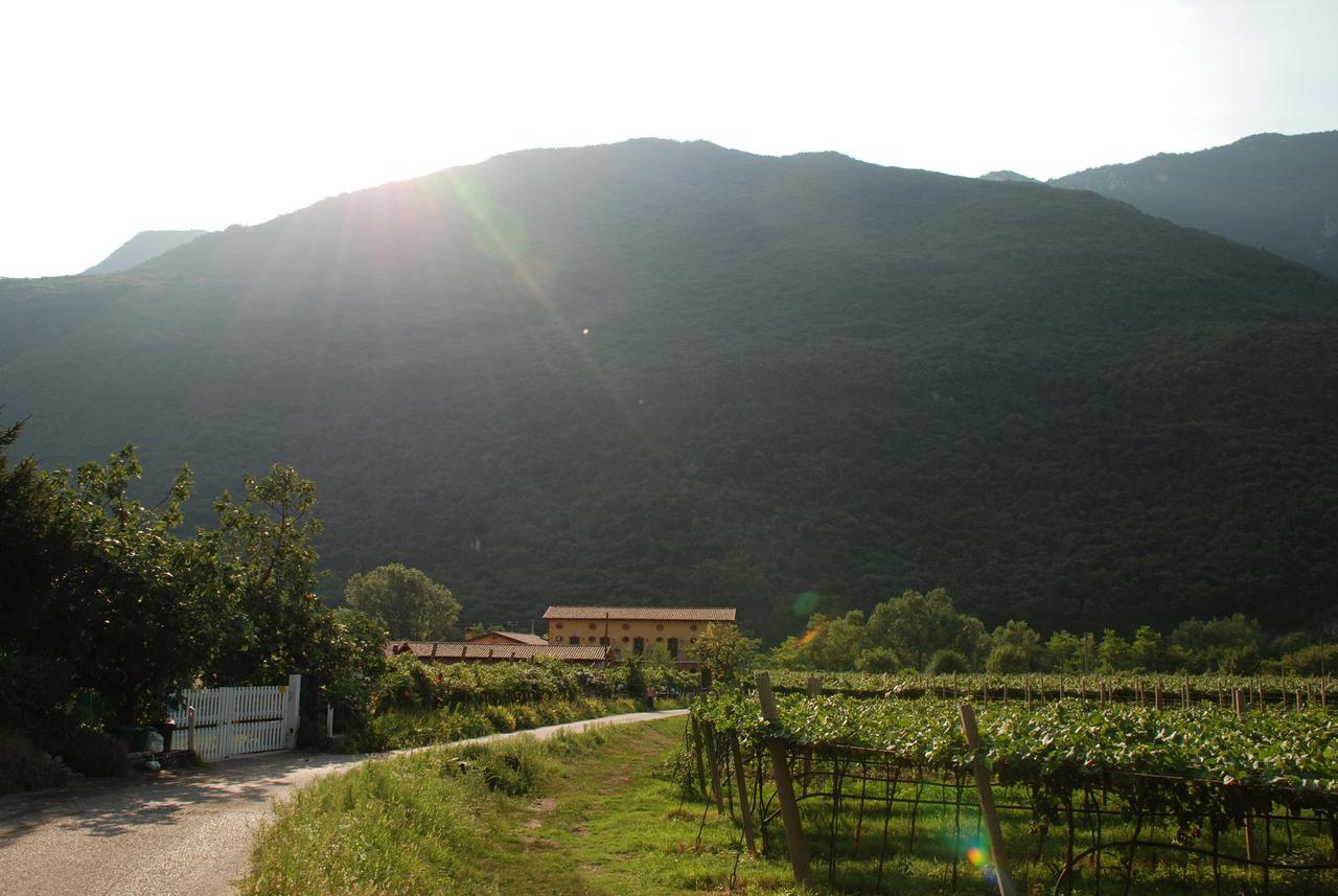 Agriturismo Revena Brentino Belluno Екстер'єр фото